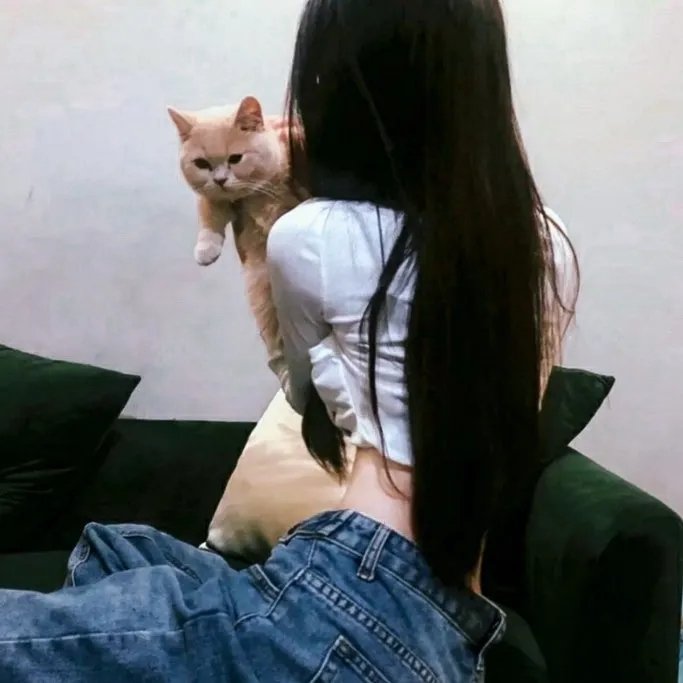小透明黛兮